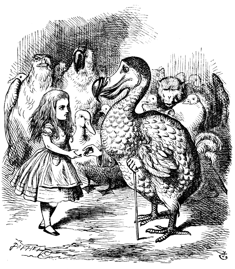 Image of Alice taking with a dodo bird